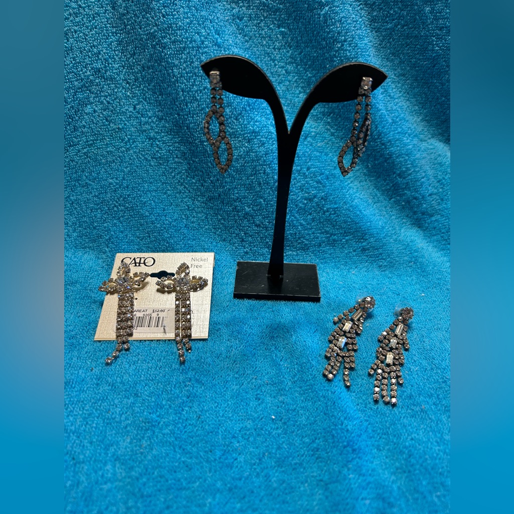 Earrings #3047
